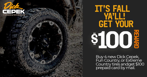 Consumer Rebates Tires easy