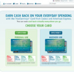 Green Espirit Costco Executive Membership American Express Credit Card