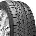 Goodyear Fortera SL Tires Truck Performance All Season Tires