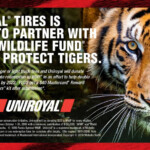 WWF And Uniroyal Protecting Tigers Tire Sales And Service In New England