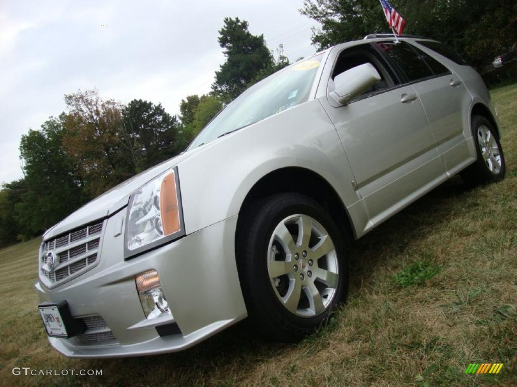 2008 Light Platinum Cadillac SRX 4 V6 AWD 36547227 Photo 25