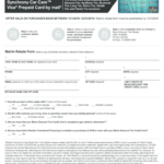 Mavis Tire Rebate Form Fill Online Printable Fillable Blank